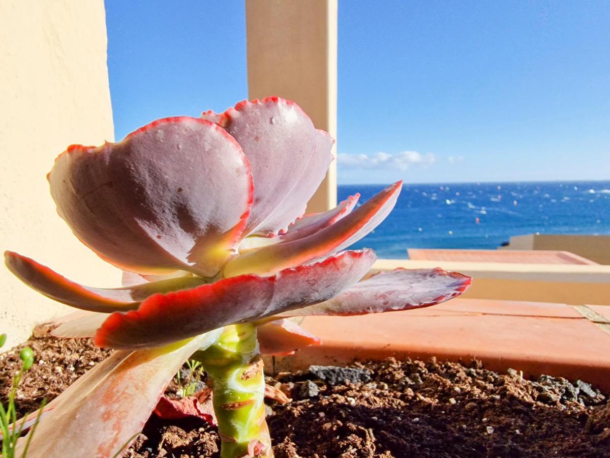 Medano4you The Ocean Terrace Penthouse Apartament *